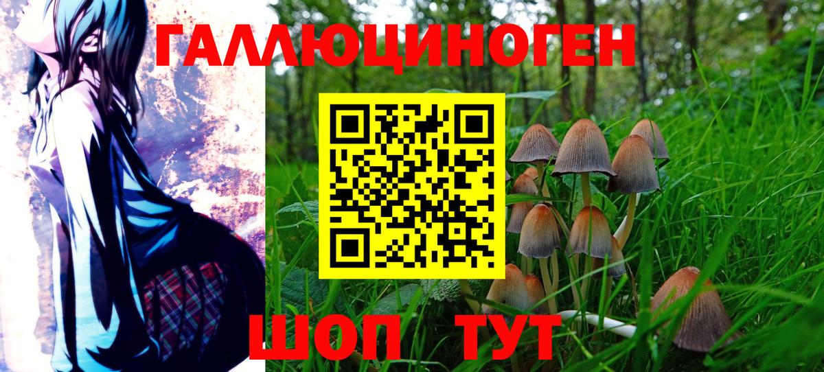 Галлюциногенные грибы мухоморы Боровичи