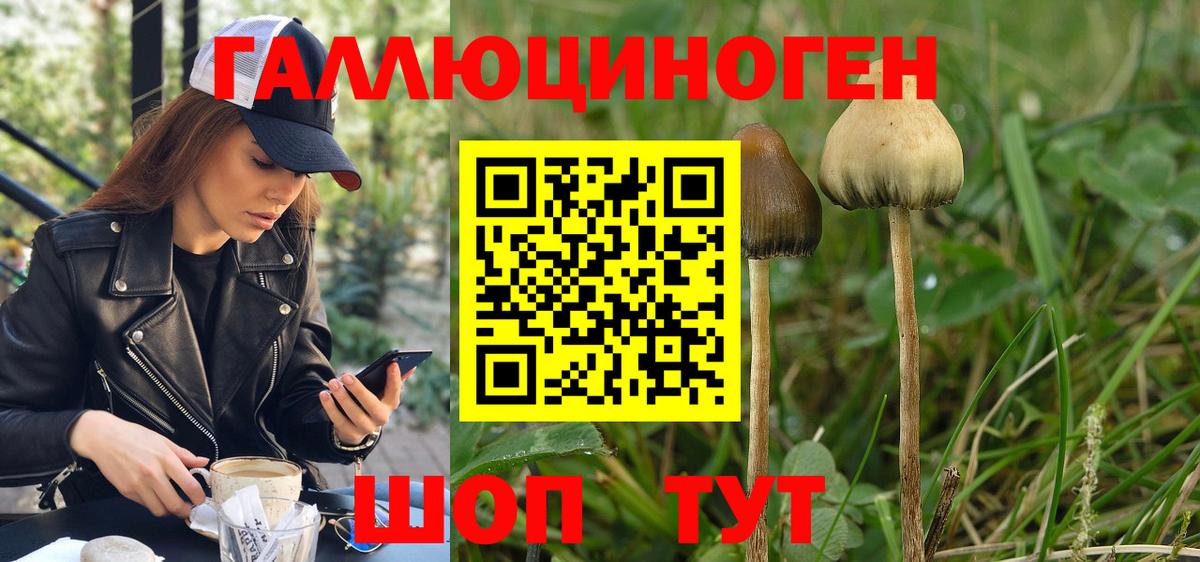 Псилоцибиновые грибы GOLDEN TEACHER  Псилоцибиновые грибы ЛСД  Боровичи  Вход с VPN 